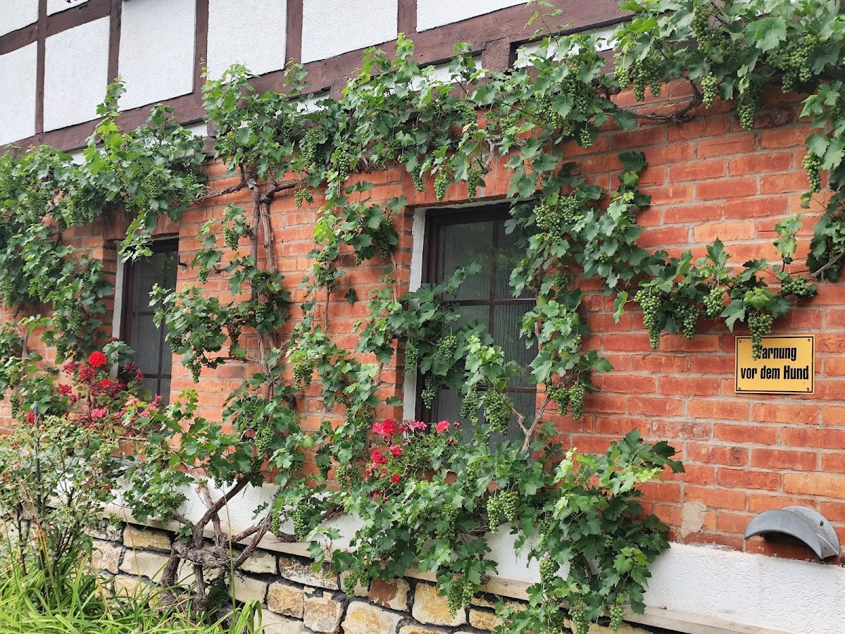 Landgasthof Zur Schlackenmühle Hotel 2