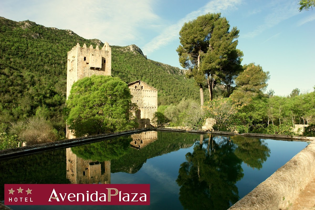 Hotel Avenida Plaza