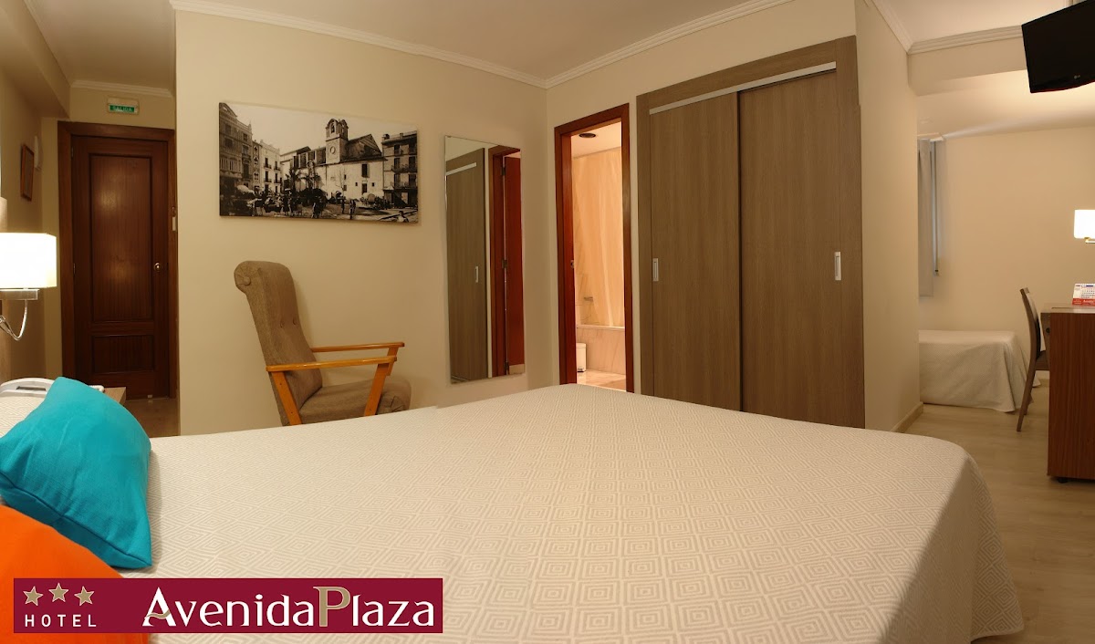 Hotel Avenida Plaza Hotel 2