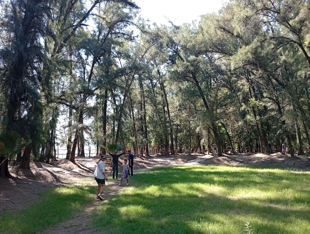 Posada Victoria Paloma
