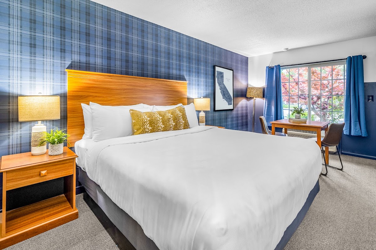The Angler Lodge Hotel 2