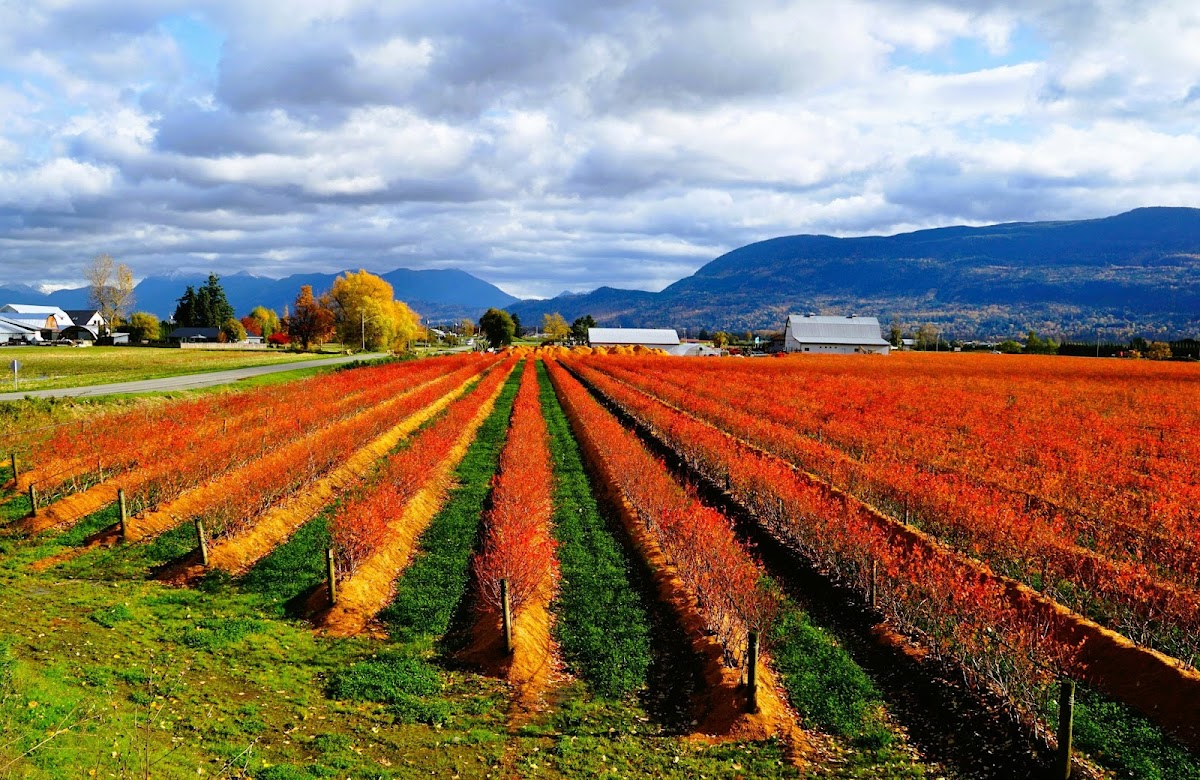 Holiday Inn Express & Suites Chilliwack East by IHG Hotel 3