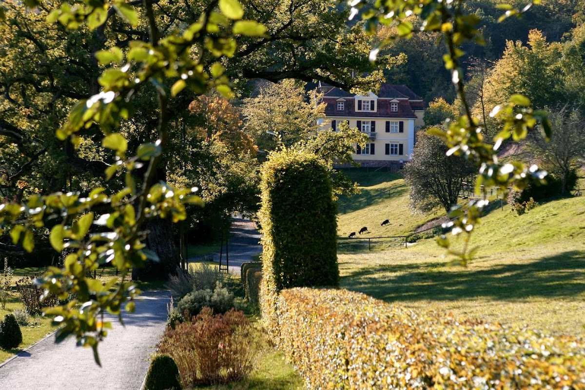 Rhön-Hotel St. Georg Hotel 3