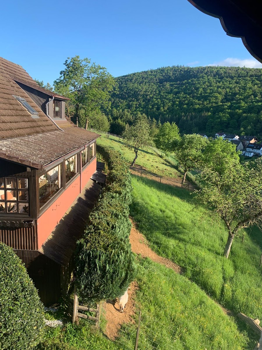 Gästehaus Claudia Pitzen Hotel 3