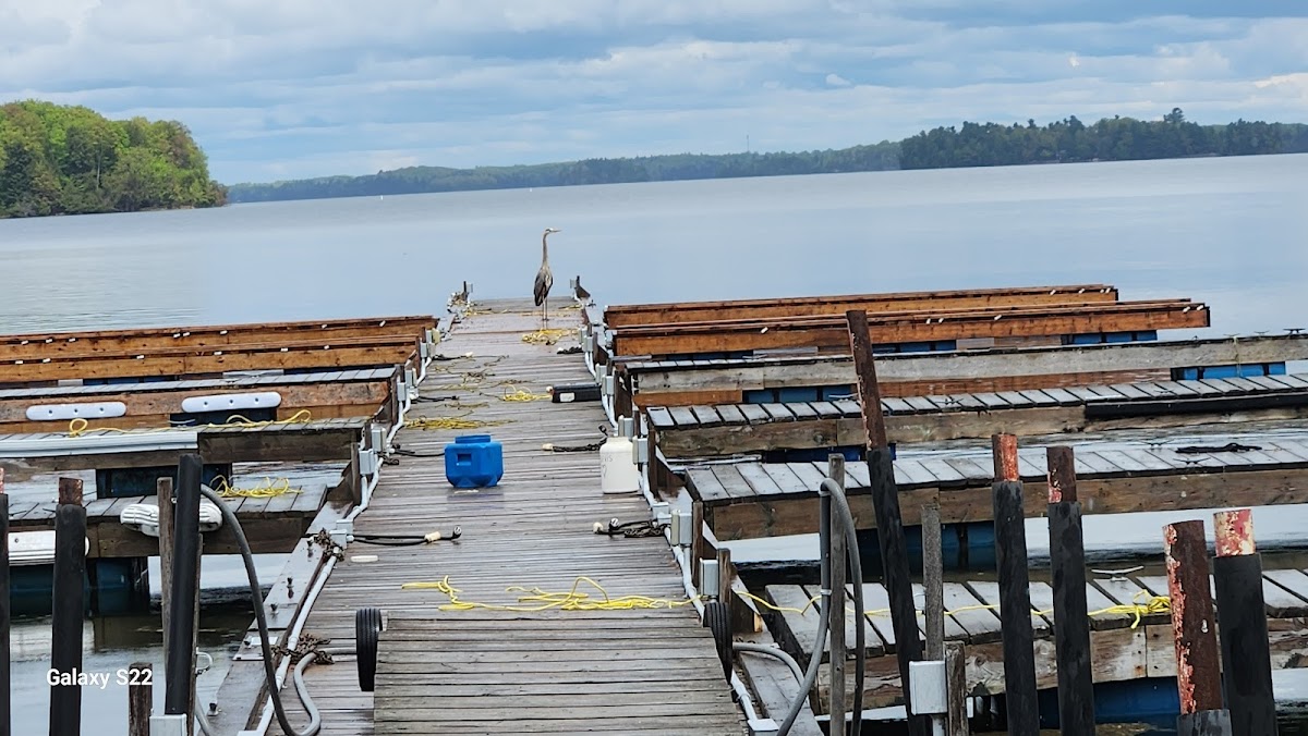Rideau Mac Resort