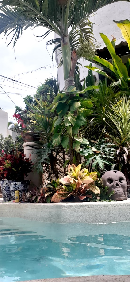 Sayulita Surf Hotel - Casa Buena Onda Hotel 3