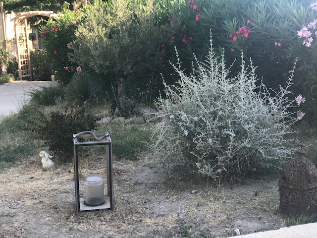 Le Mas du Gui