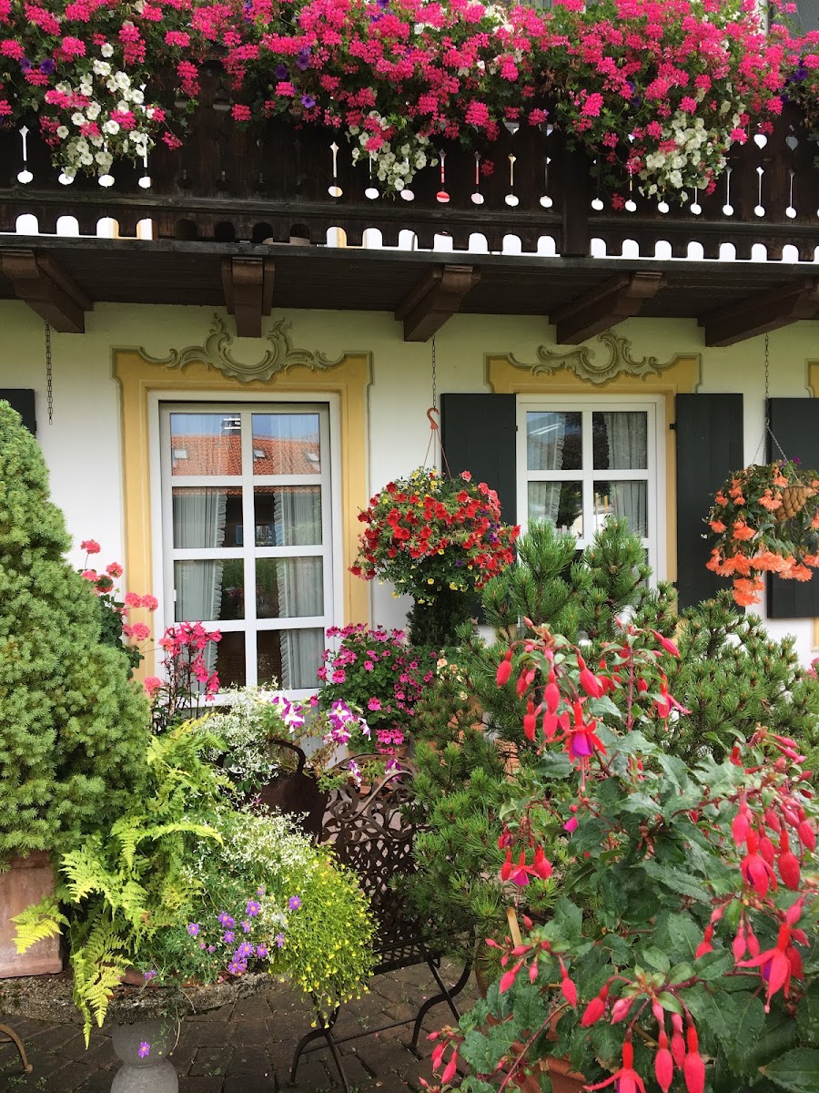 Hotelpension Stadler Hotel 3