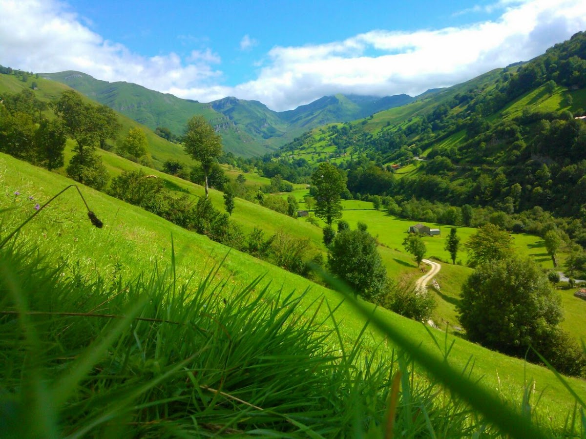 Posada La Vieja Escuela - Valles Pasiegos de Cantabria. Hotel 3