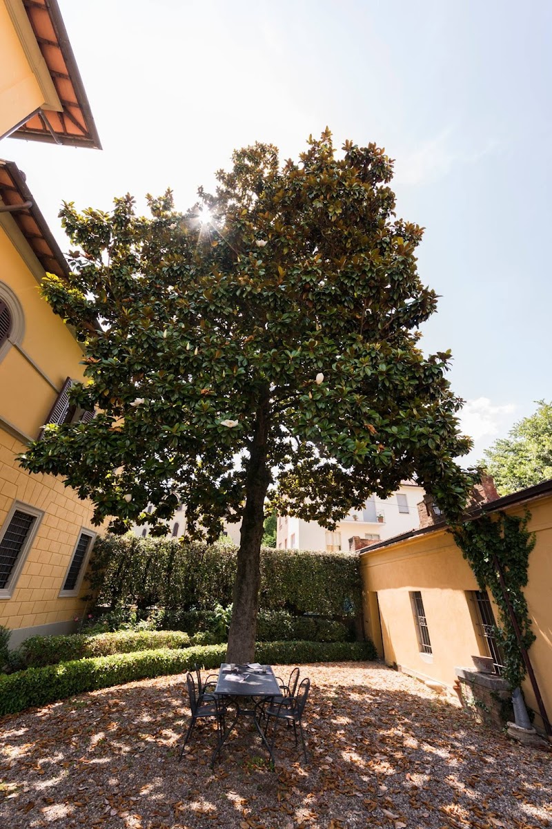 Villa Socini