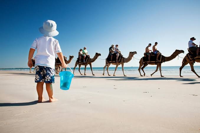 Seashells Broome