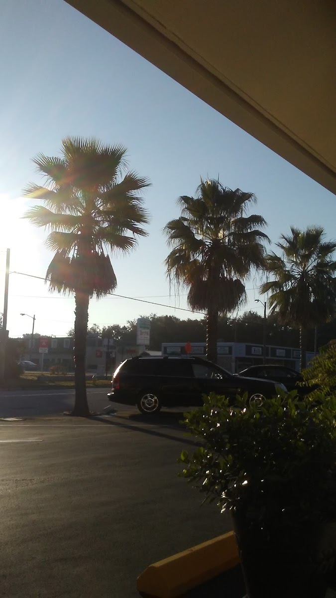 Harbor Lite Motel