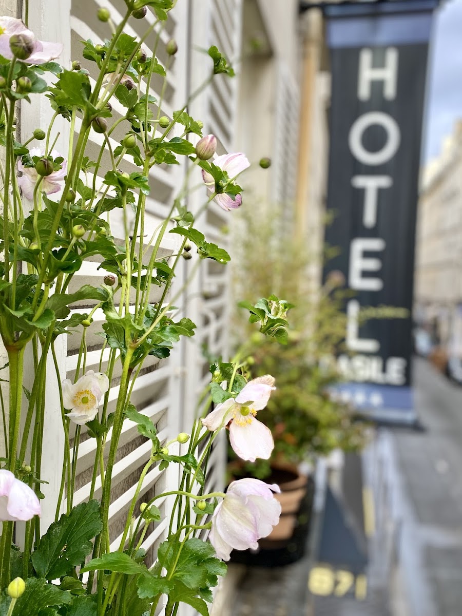 Le Basile Hôtel