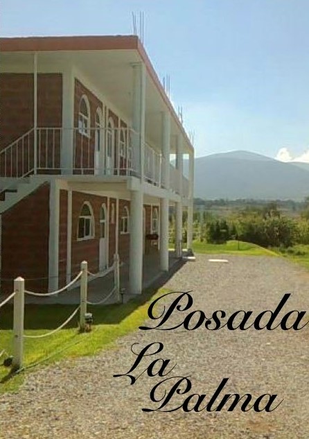 Posada La Palma Hotel 3