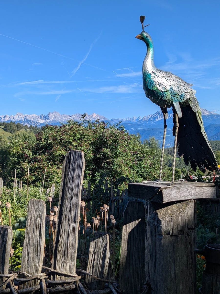 Wieserhof