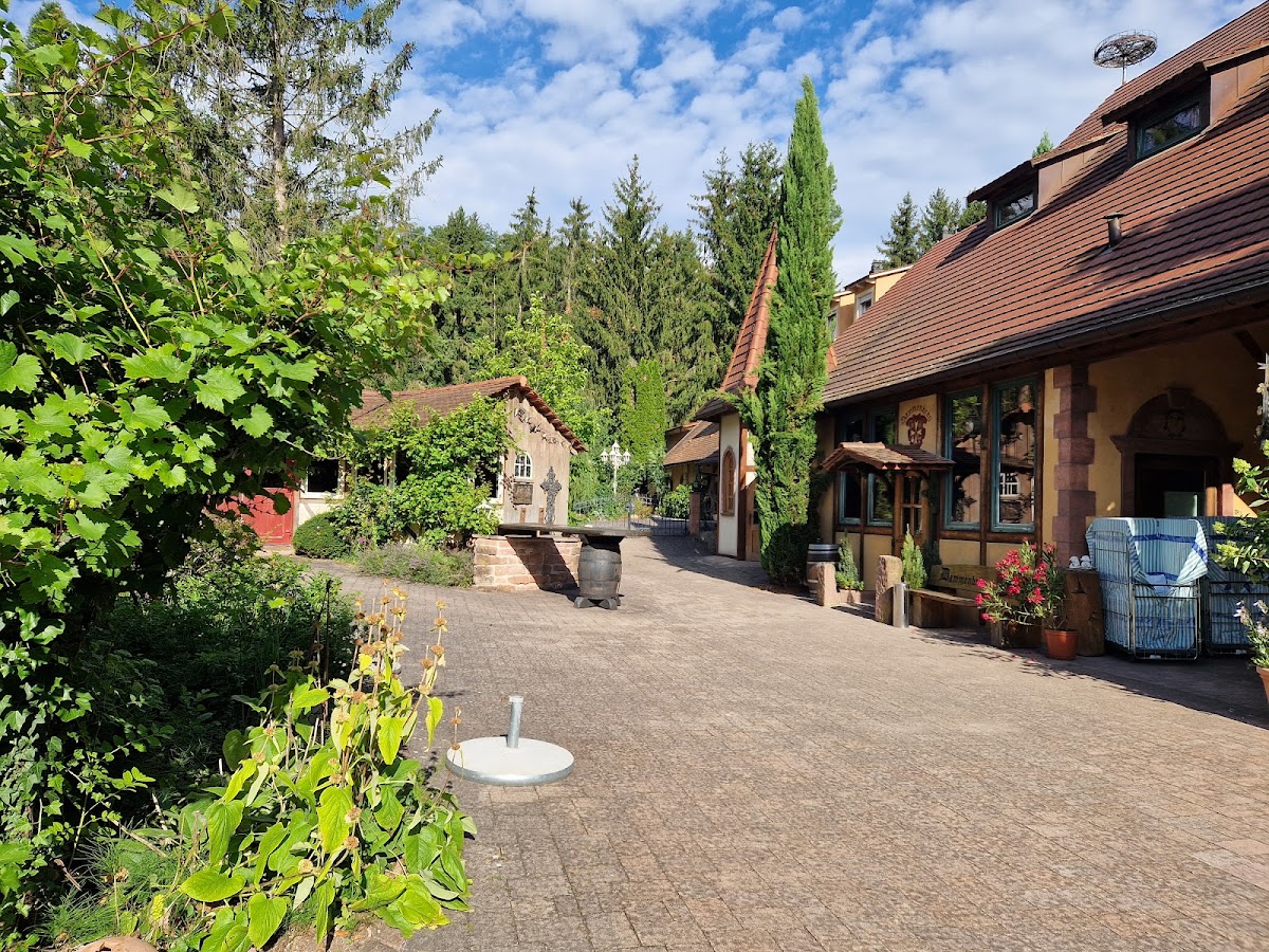 Hotel Dammenmühle GmbH Hotel 3