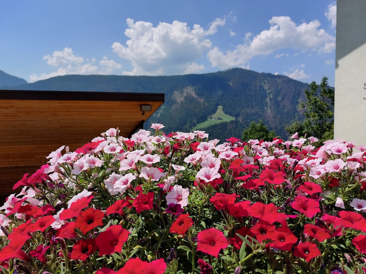 Gasthof La Pli Apartments Hotel 3