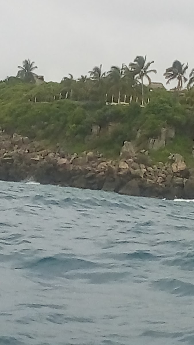 HOTEL VILLA ROCA