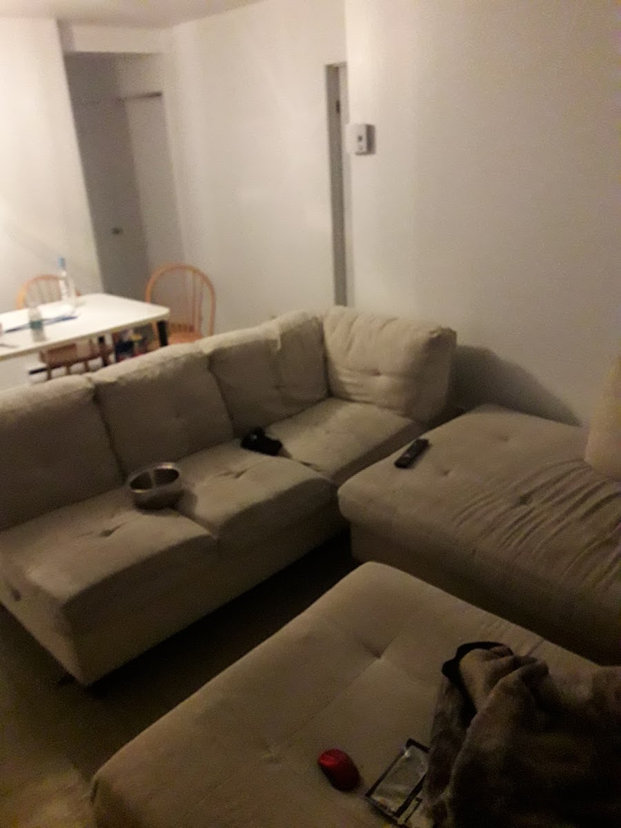 Divan de Tremplin
