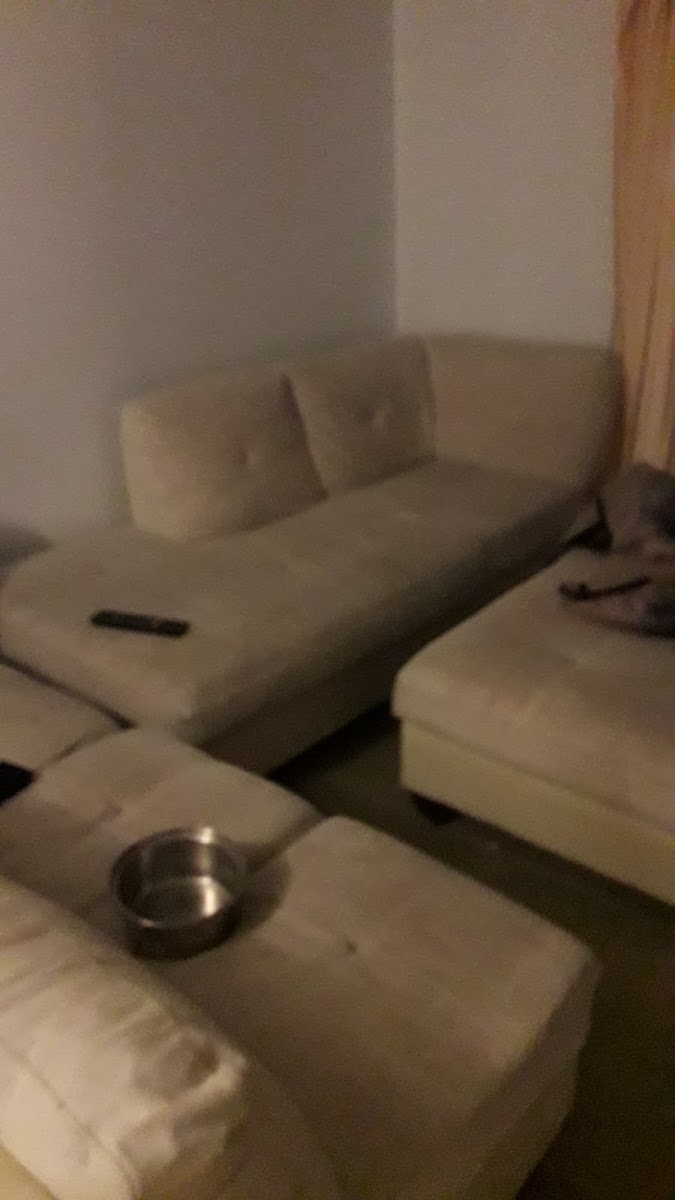 Divan de Tremplin Hotel 2
