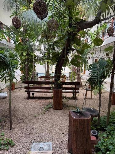 Hotel Centrico Tulum