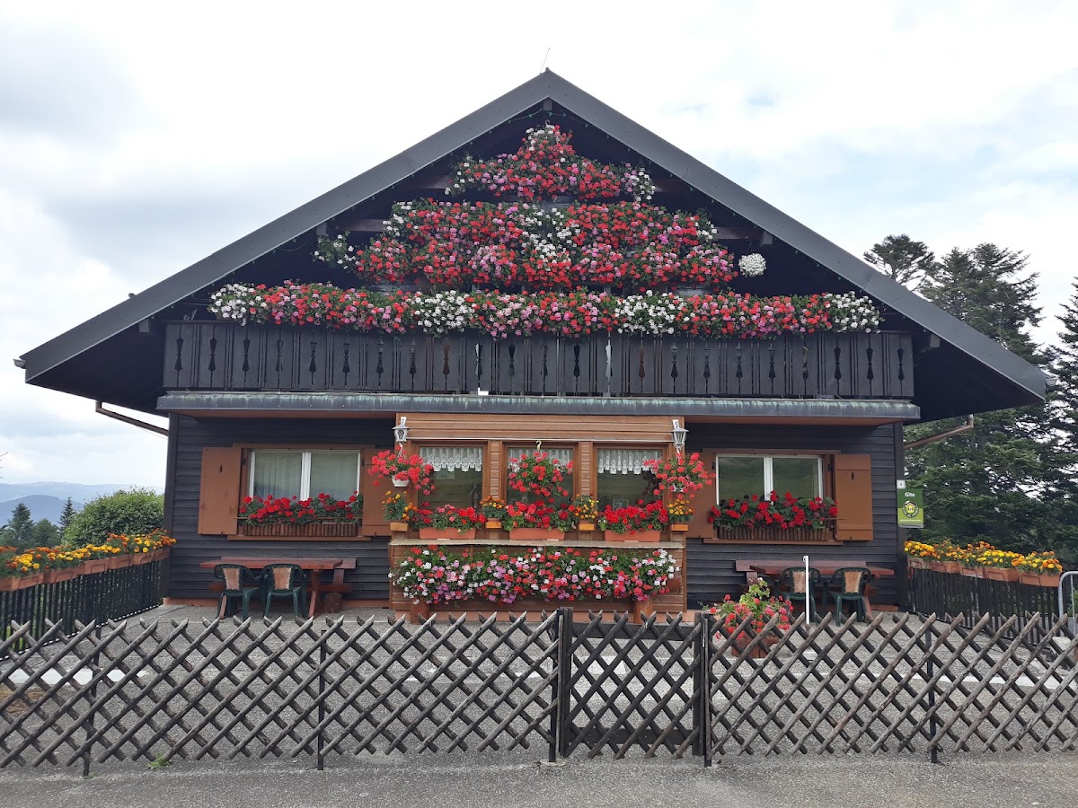 Schnepfenried Hotel 2