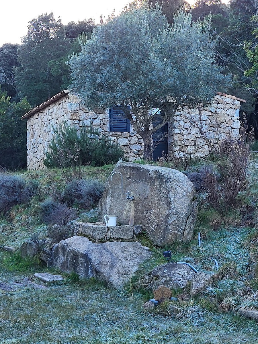 Bergeries Du Prunelli Hotel 3