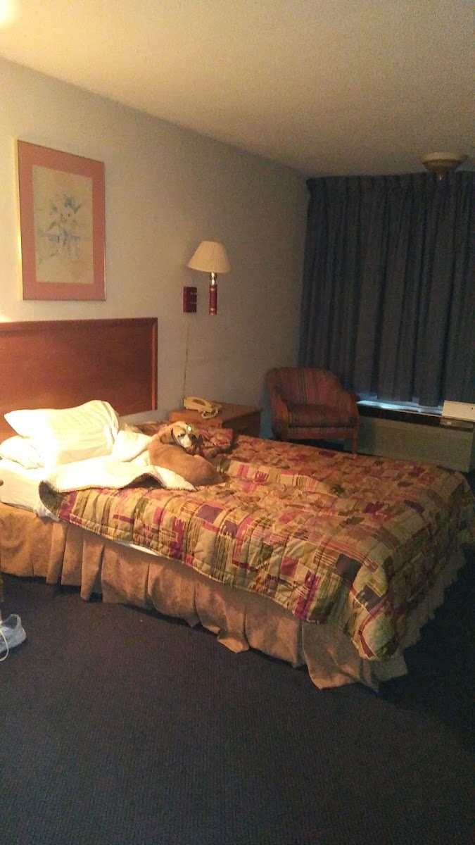 Knights Inn Manning Hotel 2