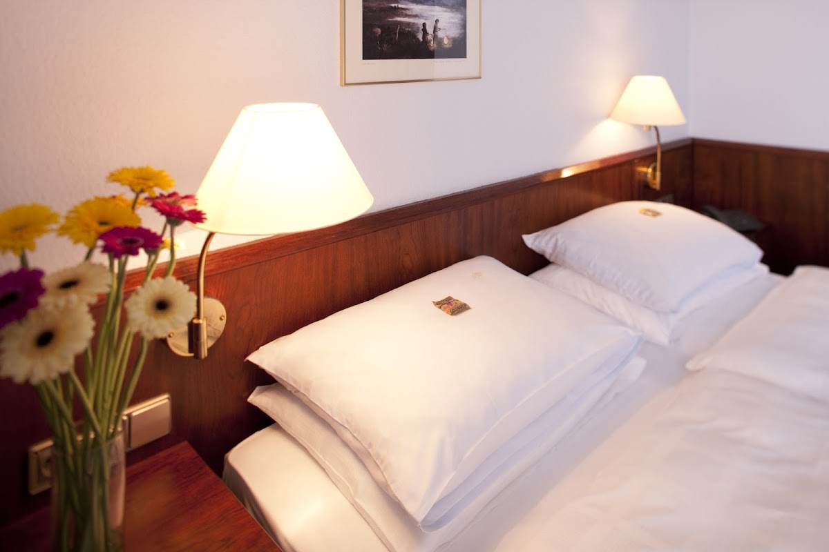 Leine Hotel Pattensen