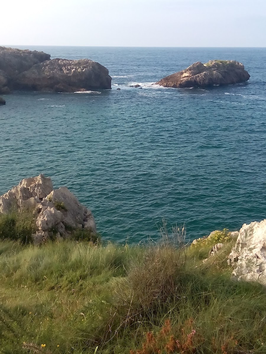 El Ama De Llaves