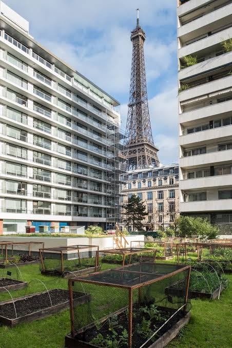 Pullman Paris Tour Eiffel Hotel 2