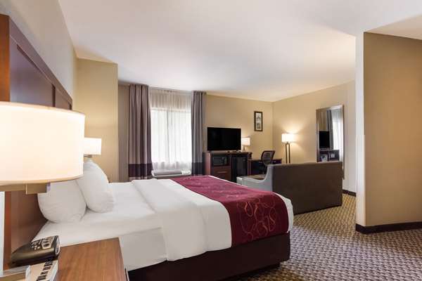 Comfort Suites North Mobile Hotel 2