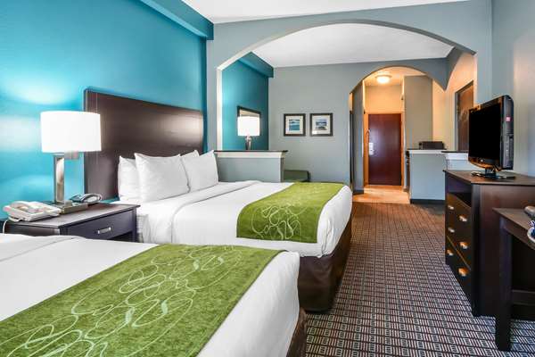 Comfort Suites Tampa - Brandon Hotel 2