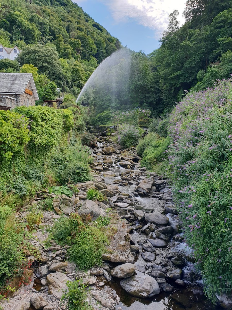 Pine Lodge Hotel 3