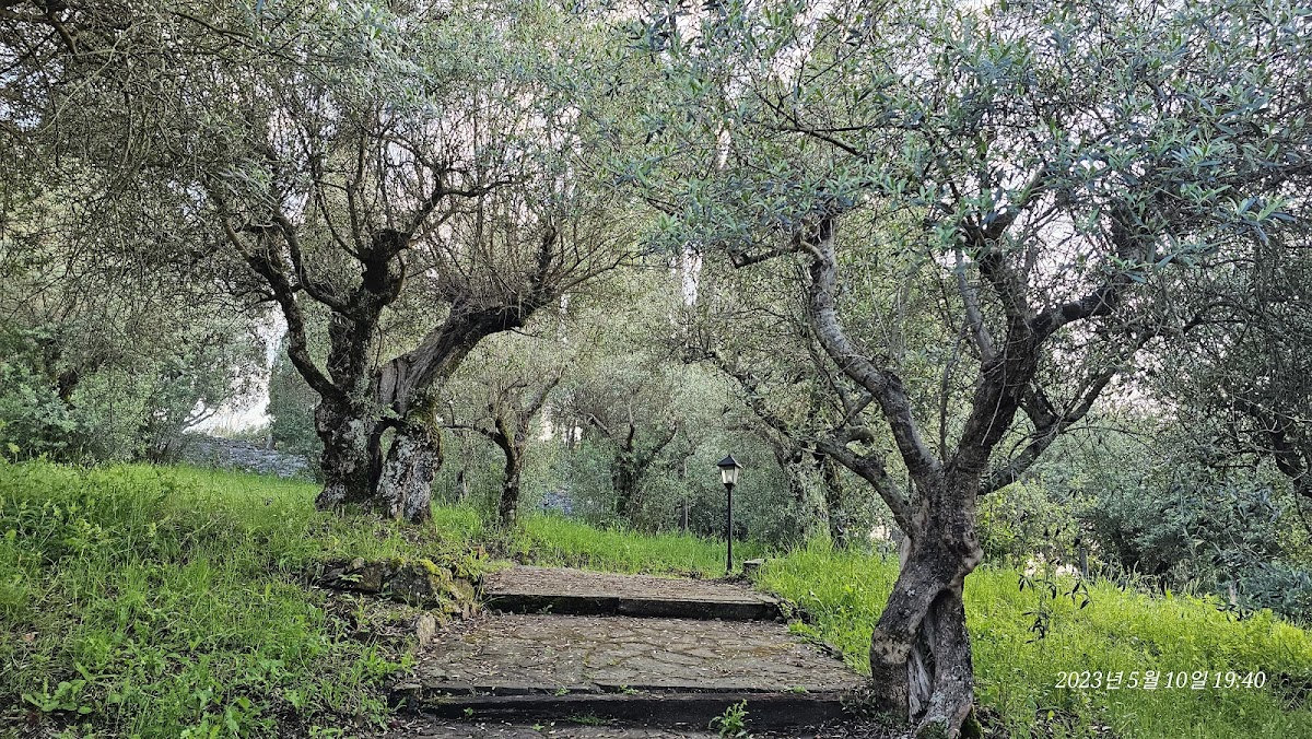 Hotel Villa Vecchia