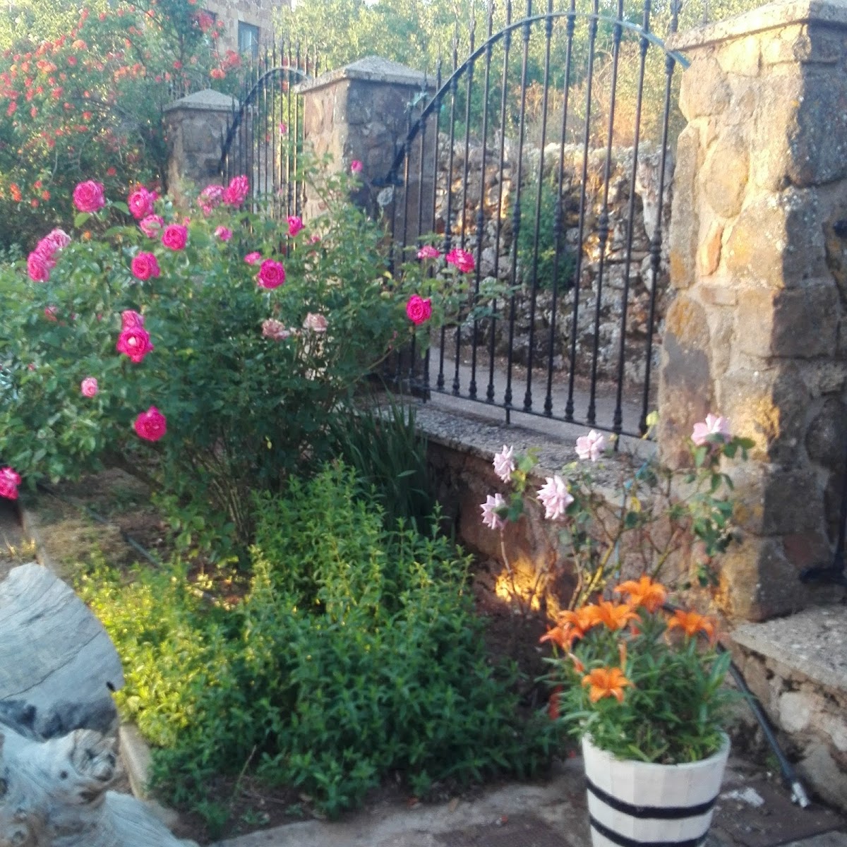 Casa Rural La Yedra Hotel 3