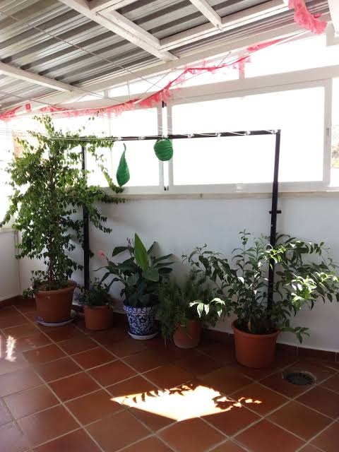 Hostal Rural Montual