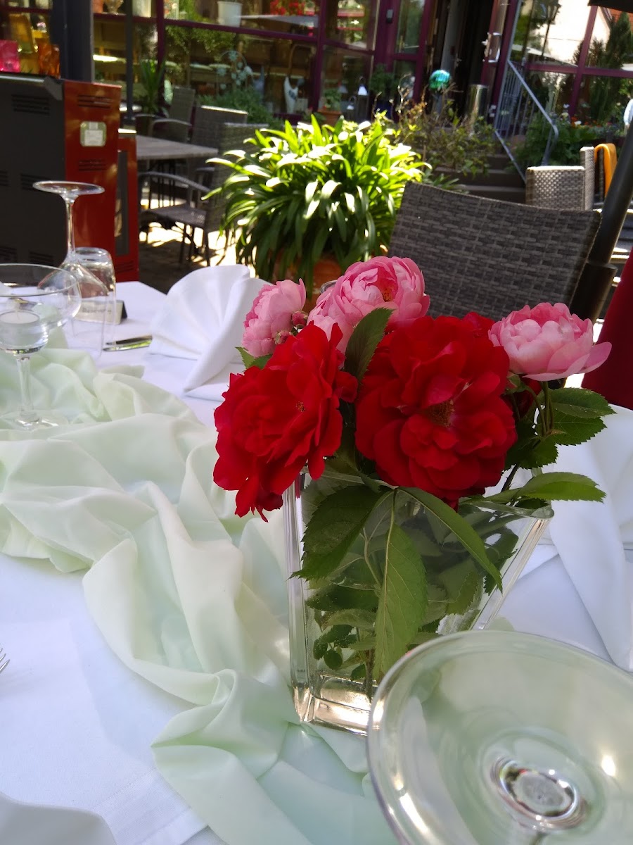 Hotel Wettin Hotel 2
