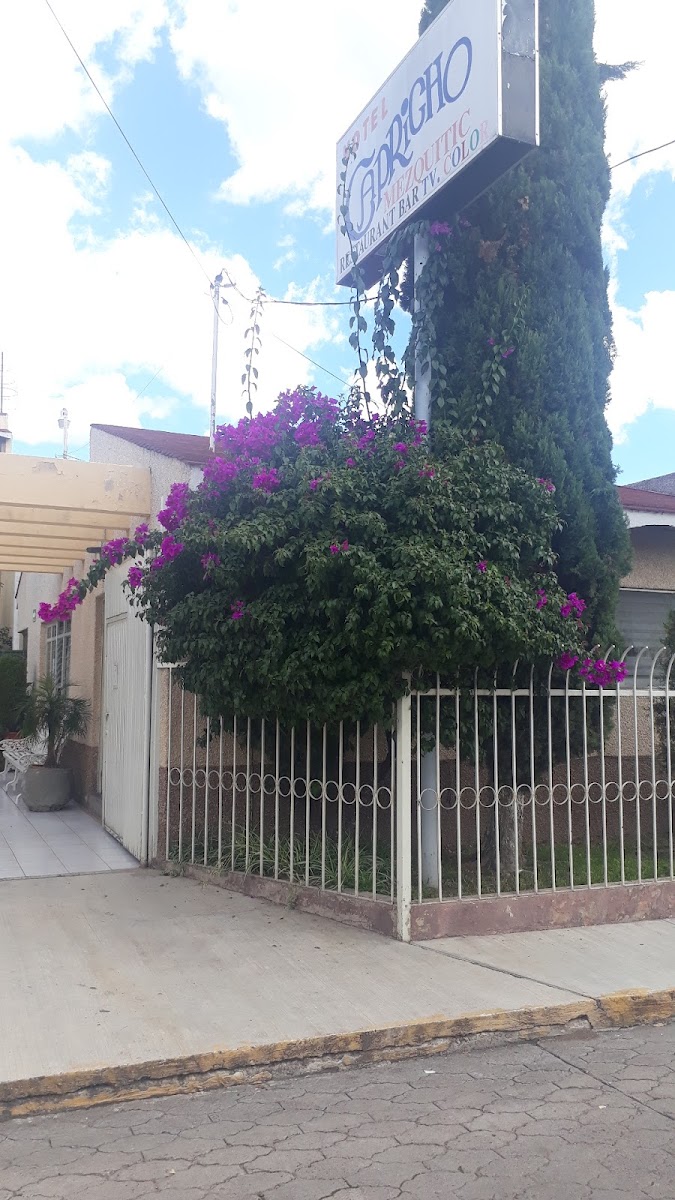 Hotel Capricho. Hotel 2