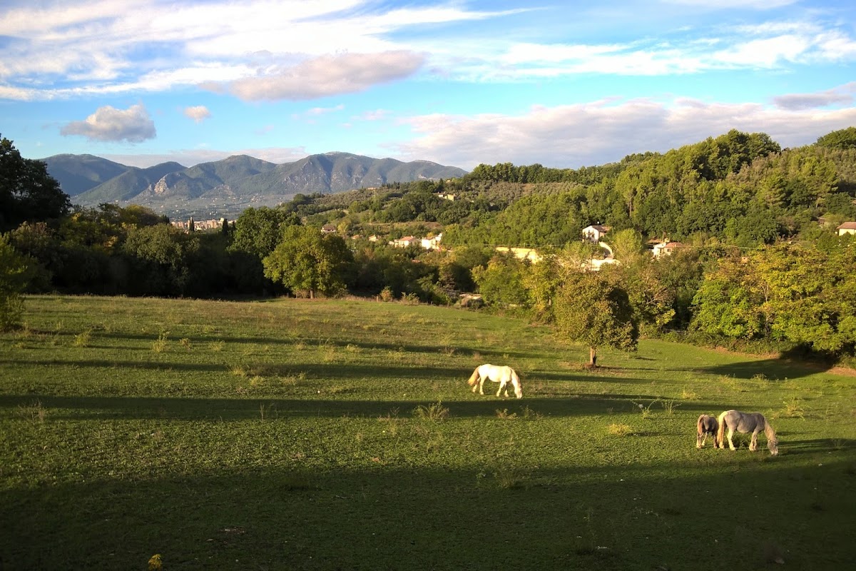 Locanda Petrucci Hotel 3