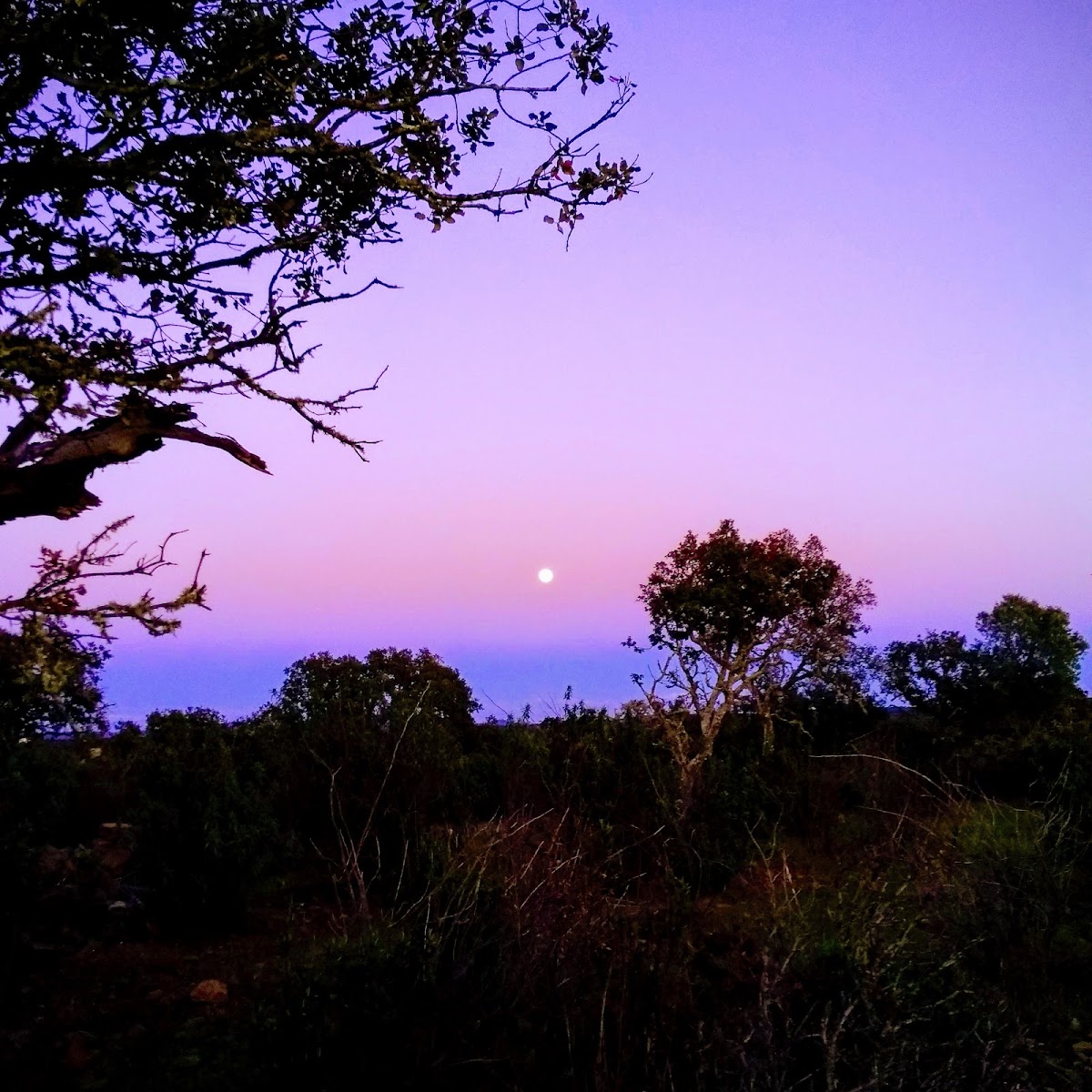 Cortijo Los Millares