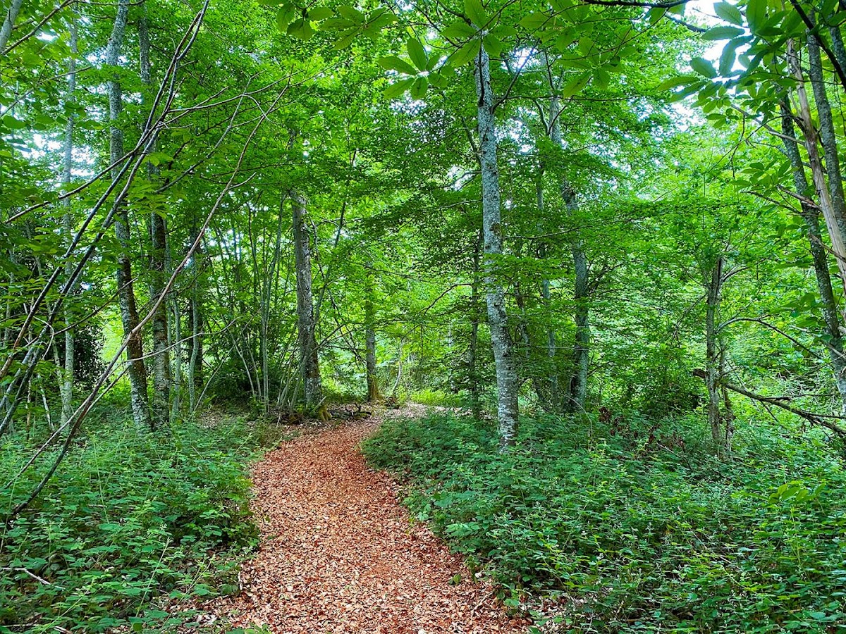 Chateau du Tirondet - Gites et Chambres d'Hotes de Luxe Hotel 2