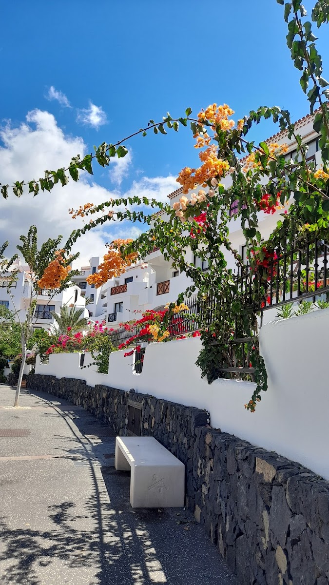 Apartamentos Lago Hotel 3