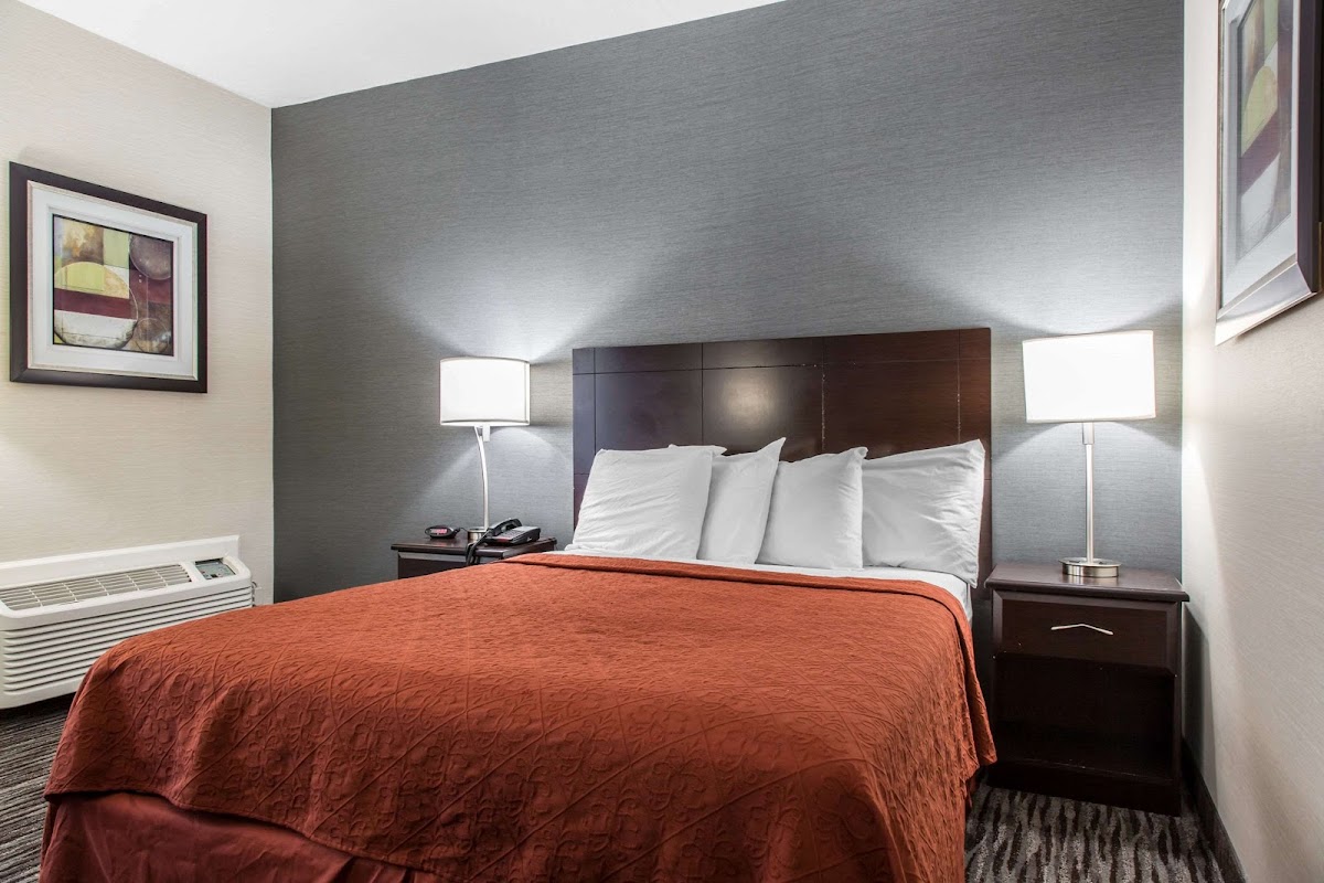 Quality Inn & Suites Danbury near University