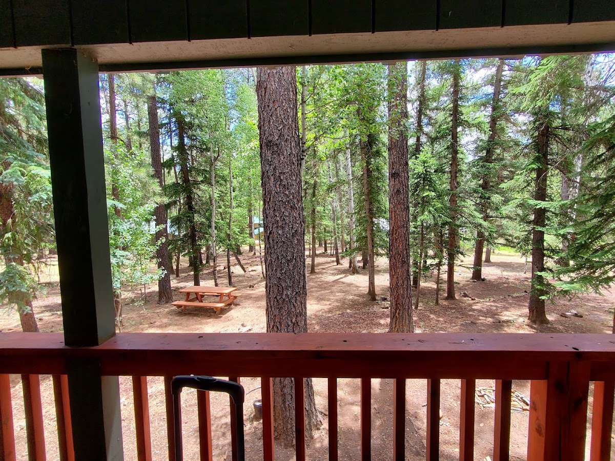 The Aspen Cabins