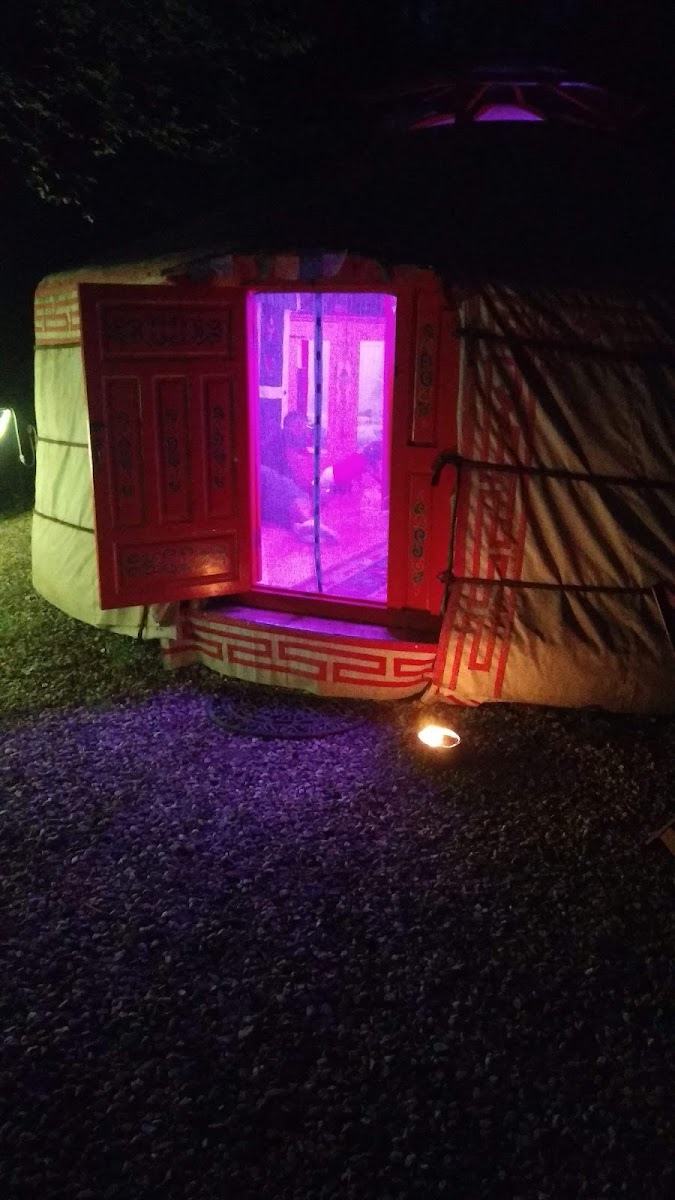 Yurta Soul Shelter