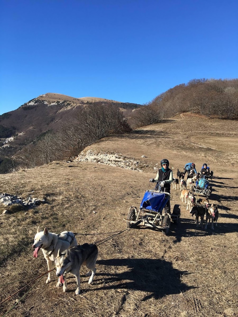 Esprit du Nord – Ferme Balenne Hotel 2