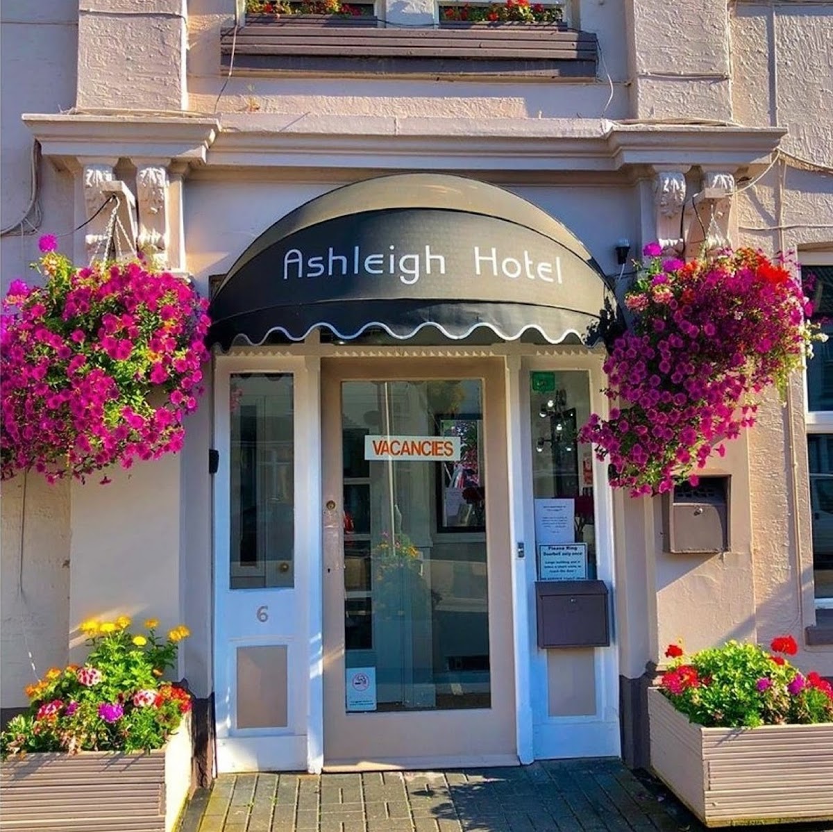 The Ashleigh - Dog Friendly Hotel 1